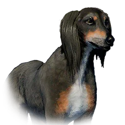 Saluki variant: Saluki