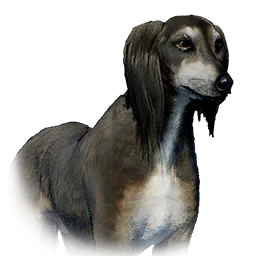 Saluki variant: Saluki