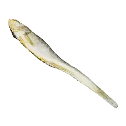 Dried Fish