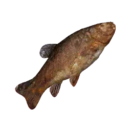 Large Grilled Fish