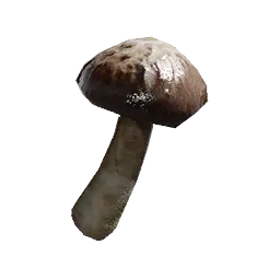 Poison-Soaked Oakwood Mushroom