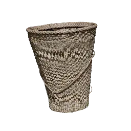 Dendrobium Orchid Pack